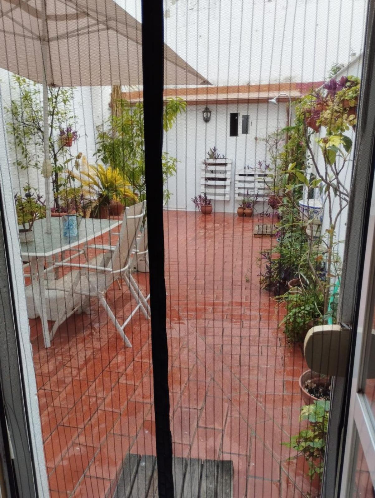 Patios Con Encanto Кордоба Екстериор снимка