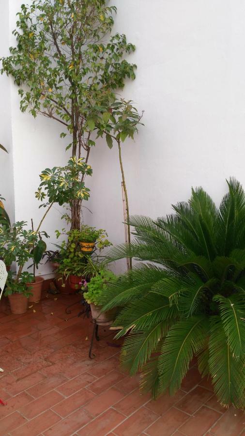 Patios Con Encanto Кордоба Екстериор снимка