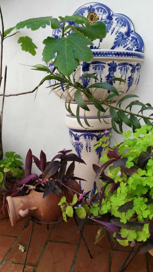 Patios Con Encanto Кордоба Екстериор снимка